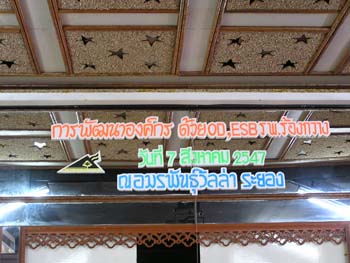 P1010031